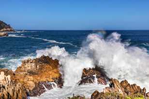 Point Lobos-3557.jpg